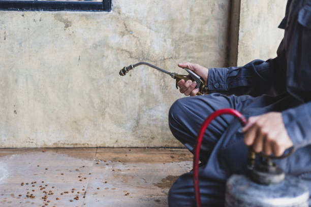 Best Rat Extermination Near Me  in Pearl River, NY